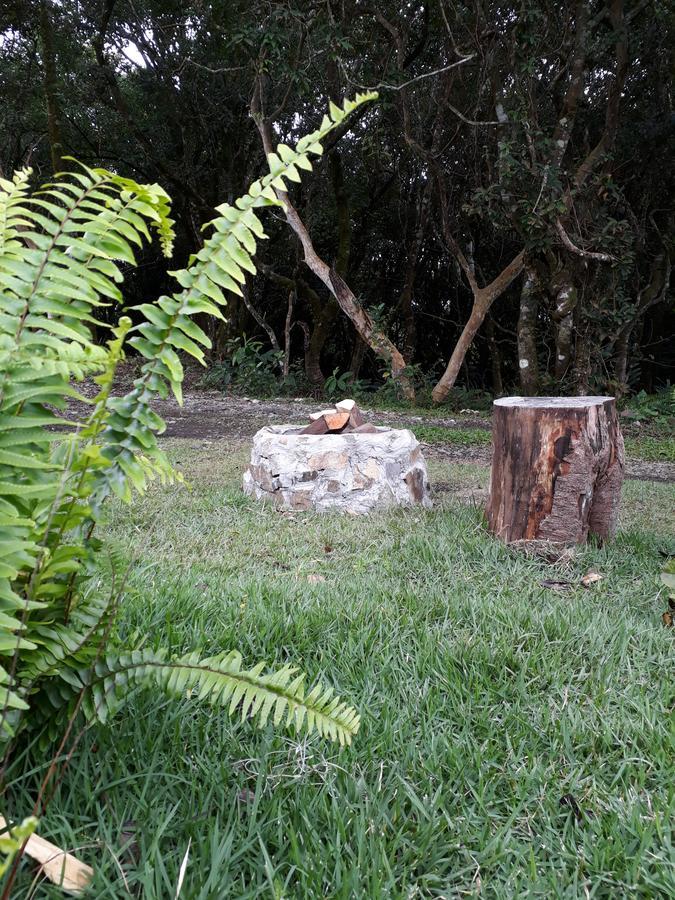 Vila Casa Mirango Boquete Jaramillo Exteriér fotografie